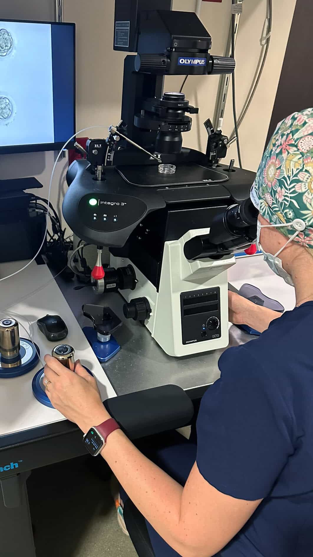 No Satisfactory Embryos